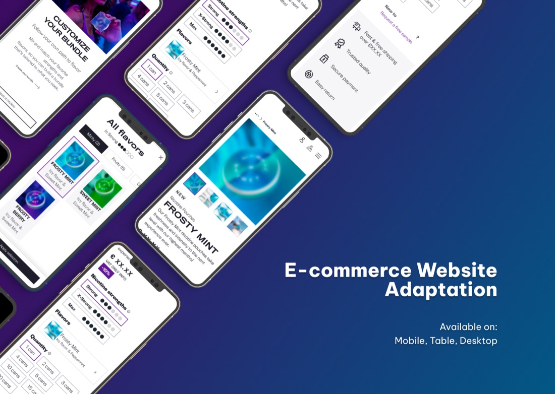 E-commerce Website Adaptation